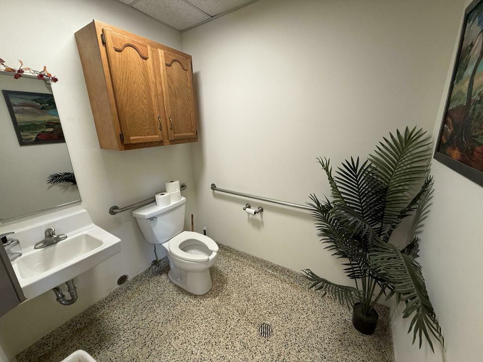Picture 6
