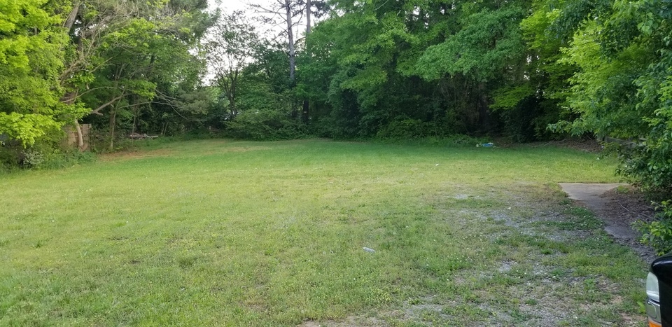 Picture 12