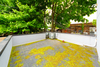 2537 Ocean Avenue, Brooklyn, NY, 11229