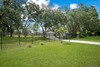 19616 LIVINGSTON AVE, LUTZ, FL, 33559