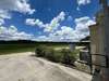 11743 Jefferson Road, Thonotosassa, FL, 33592