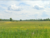 2313 Townline Road, Alden, NY, 14004