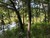 Fisherman's Bay, Lowndsboro, AL, 36752