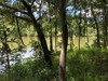 Fisherman's Bay, Lowndsboro, AL, 36752