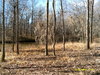 Fisherman's Bay, Lowndsboro, AL, 36752