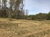 Fisherman's Bay, Lowndsboro, AL, 36752