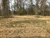Fisherman's Bay, Lowndsboro, AL, 36752
