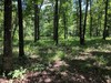 Fisherman's Bay, Lowndsboro, AL, 36752
