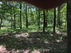 Fisherman's Bay, Lowndsboro, AL, 36752