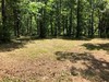 Fisherman's Bay, Lowndsboro, AL, 36752