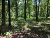 Fisherman's Bay, Lowndsboro, AL, 36752