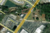 SR 200, Callahan, FL, 32011