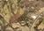 Voyles Rd, Winterville, GA, 30683
