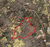 9400 Commerce Rd, Athens, GA, 30607