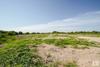 2020 S Chadbourne St, San Angelo, TX, 76903