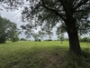 3552 S State Highway 19, Emory, TX, 75440
