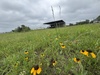3552 S State Highway 19, Emory, TX, 75440