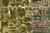 5265 Travis Rd, Mobile, AL, 36619