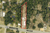 7010 Moffett Rd, Mobile, AL, 36618