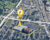 1130 & 1144 Hampton Avenue, St. Louis, MO, 63110