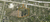 5177 & 5179 Jackson Road, Ann Arbor, MI, 48103