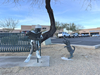 11901 - 11941 North 1st Avenue, Oro Valley, AZ, 85737