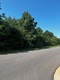 40 Acres Exit 168 I-20, Lincoln, AL, 35096