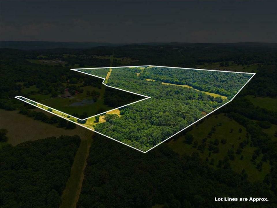 11373 Colcleasure Road, Fayetteville, AR, 72701
