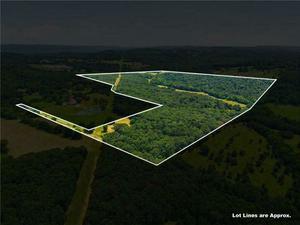 11373 Colcleasure Road, Fayetteville, AR, 72701