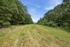11373 Colcleasure Road, Fayetteville, AR, 72701