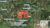 FM 2933 & CR 412, McKinney, TX, 75071