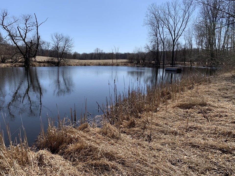 Pinckney