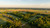 24795 County Road 32, Elberta, AL, 36530