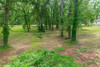 600 E Northside Dr, Clinton, MS, 39056
