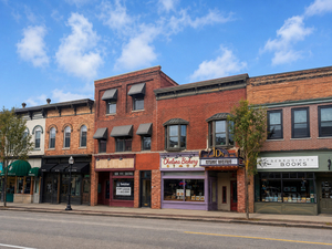 115 S Main St, Chelsea, MI, 48118