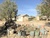 12615 Camp Rock Rd & 12627 Camp Rock Rd , Lucerne Valley, CA, 92356