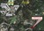 SWC - New Mohawk and Gold Flat Roads, Nevada City, CA, 95959