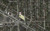 3601 Pelham St, Dearborn, MI, 48124