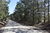 00 Piney Woods Rd, Lincolnton, GA, 30817