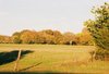 Thumb_646253-r1-006-1a