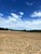 1466 N Fletcher Rd, Chelsea, MI, 48118