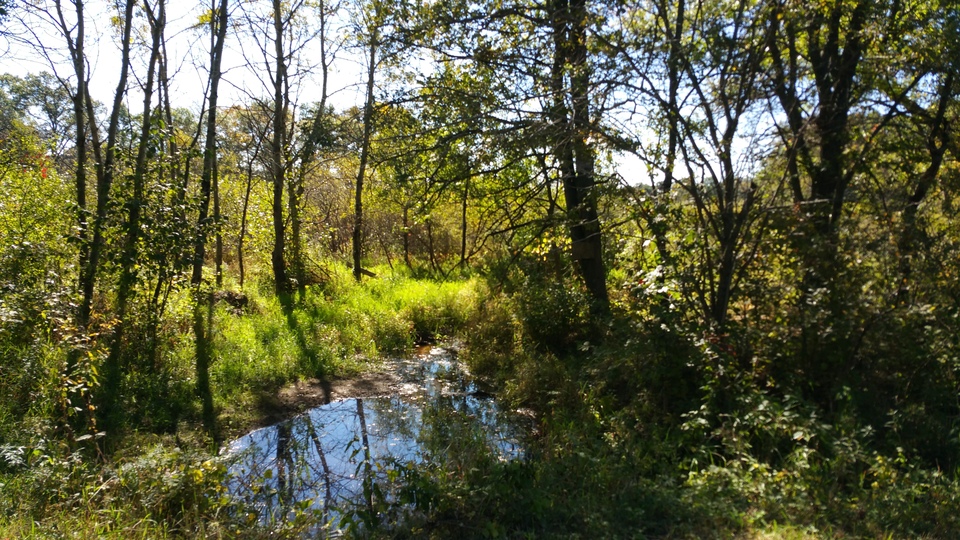 Great Opportunity Minard Lake Land (Sold!) XXXX Skylark Drive, East