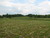 20 Deep Valley, Gregory, MI, 48137