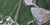 540 Birmingham Highway, Chattanooga, TN, 37419