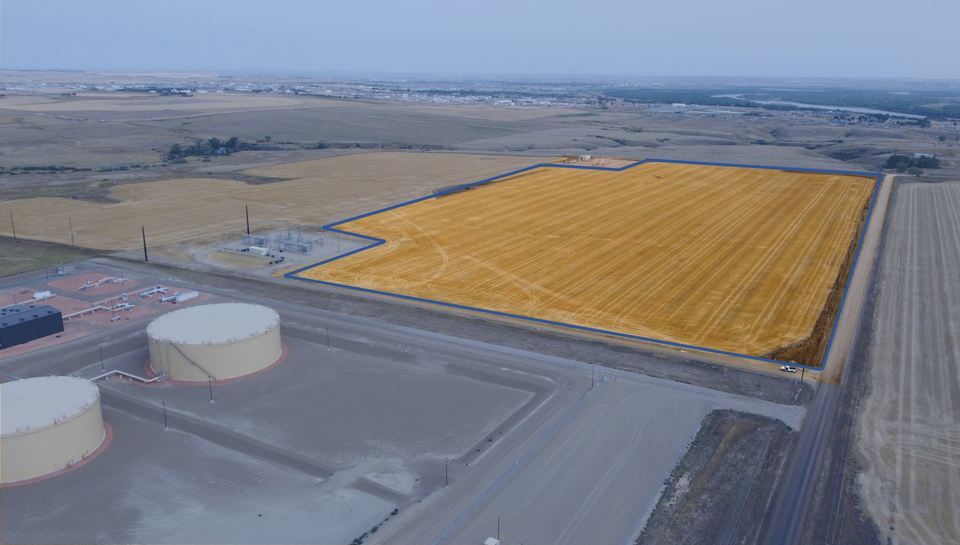 Williston