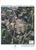 7800 Burleson rd, Austin, TX, 78744