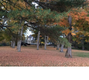 28 Eager Rd, Montgomery, NY, 12549