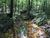 0 Lemon Road, Rockmart, GA, 30153