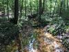 0 Lemon Road, Rockmart, GA, 30153