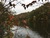 320 Forsyth Lake Road, Rockmart, GA, 30153